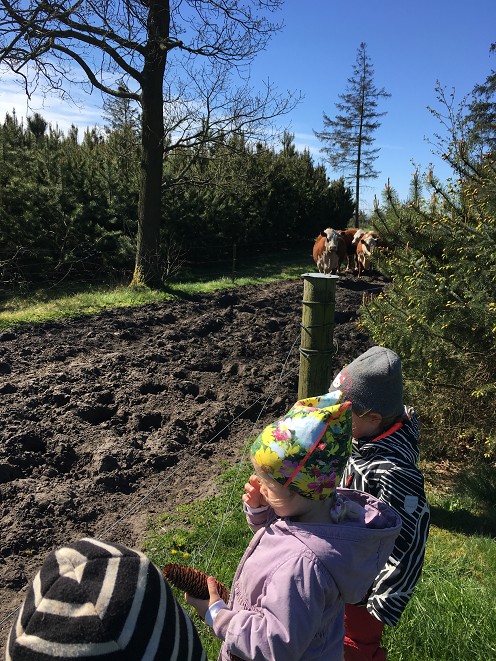 Vi nyder naturen og årstiderne.